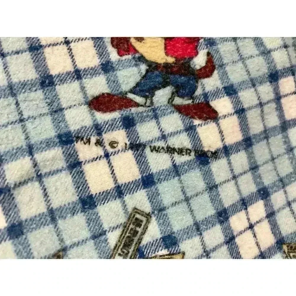 VTG Tasmanian Devil Taz 1997 Baby Blanket Warner Bro 42